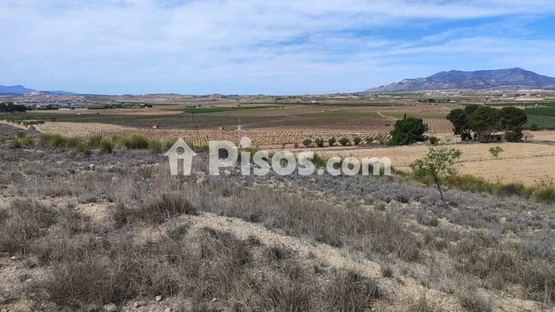 Terreno en venta en El Pinós - Pinoso