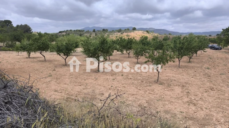 Terreno en venta en El Pinós - Pinoso