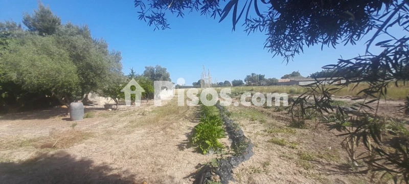 Casa – Dolores