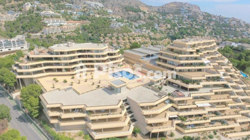 Pis – Altea