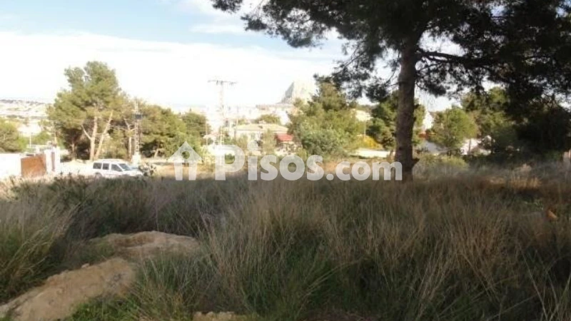 Terreno en venta en Casco Antiguo