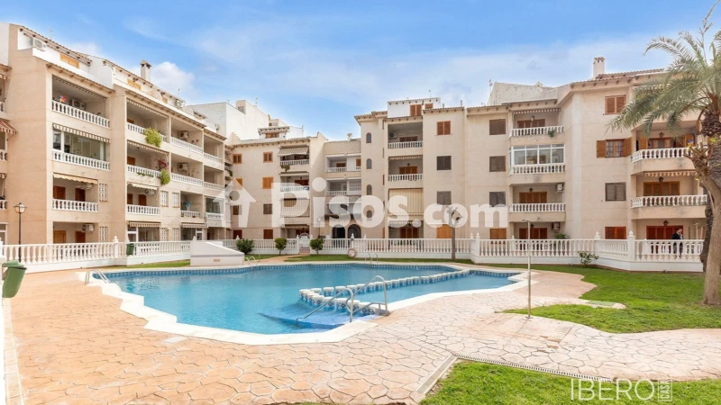 Pis – Torrevieja