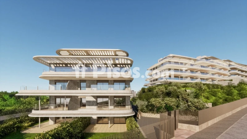 Pis – Torrevieja