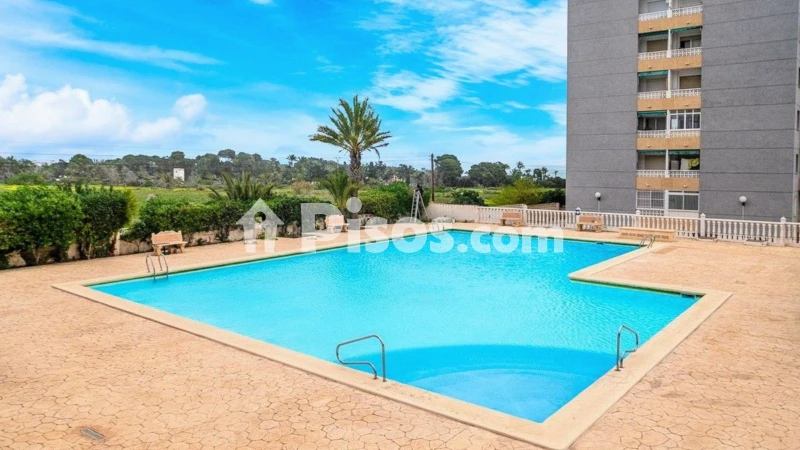 Piso – Orihuela