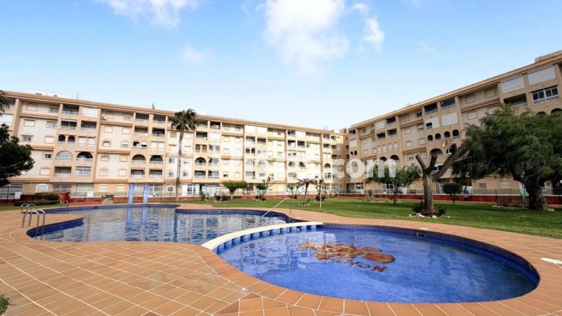 Pis – Torrevieja