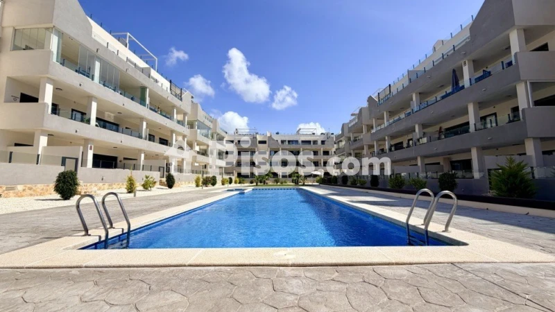 Piso – Orihuela, Villa Martín