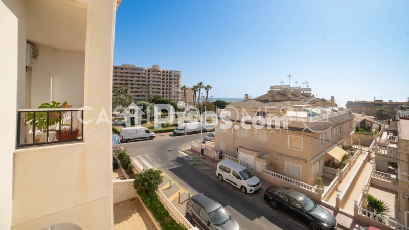 Pis – Torrevieja