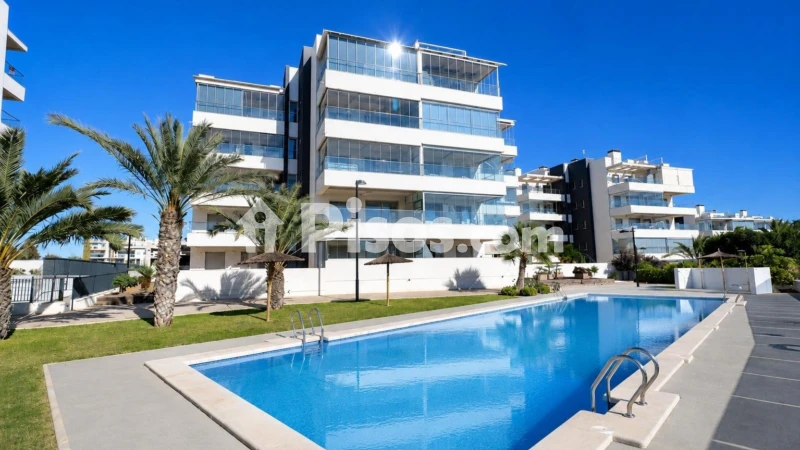 Pis – Orihuela