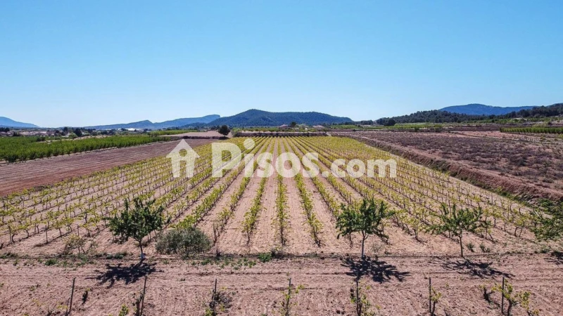 Terreno en venta en El Pinós - Pinoso