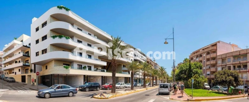 Pis – Torrevieja