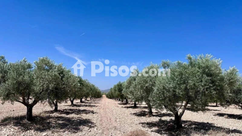 Terreno en venta en Monòver - Monóvar