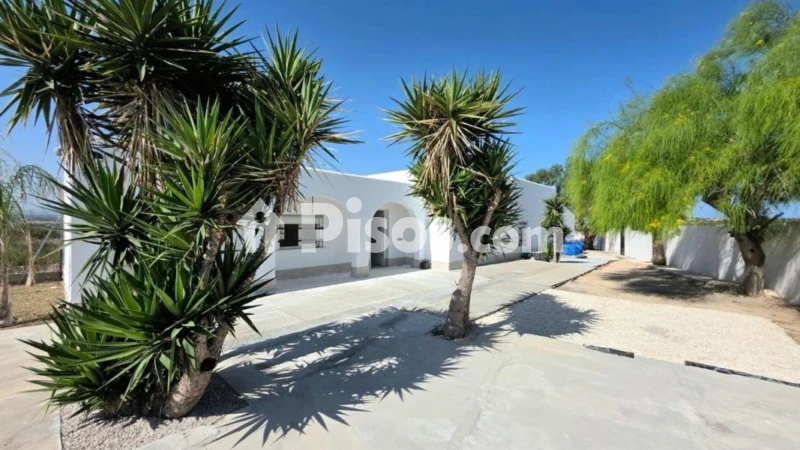 Casa – Elx - Elche