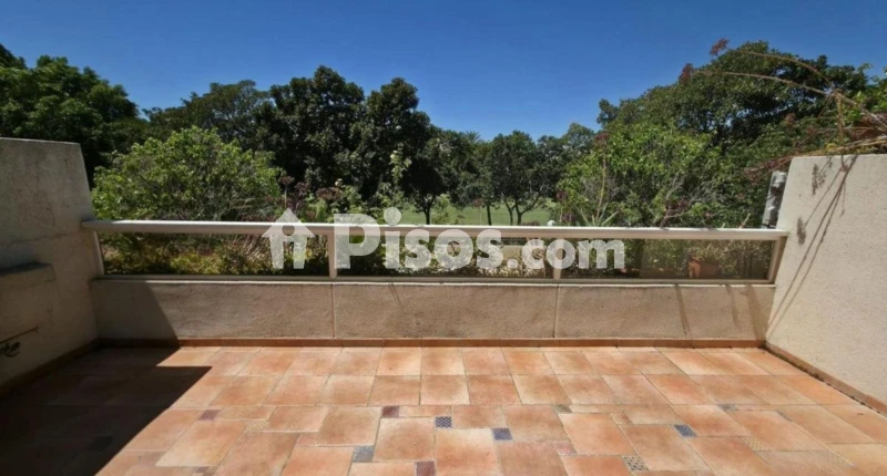 Piso