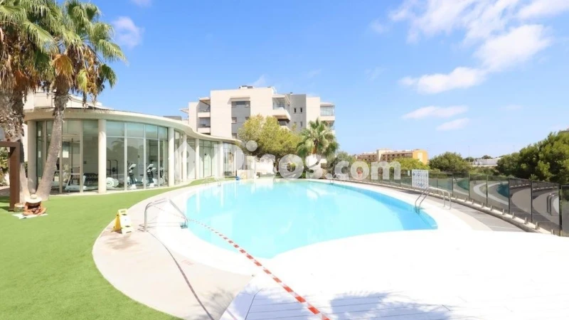 Piso – Orihuela