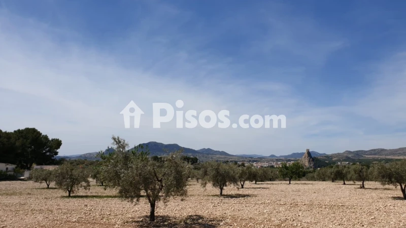 Terreno en venta en Sax