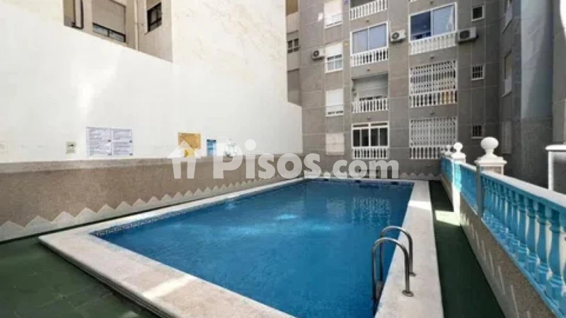 Pis – Torrevieja