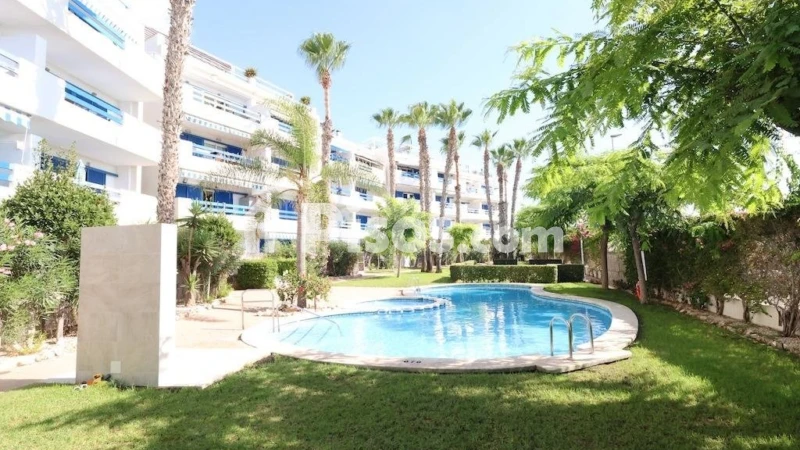 Piso – Orihuela, Alameda del Mar D-1, Urbanización Horizonte