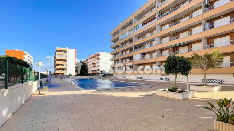 Pis – Orihuela