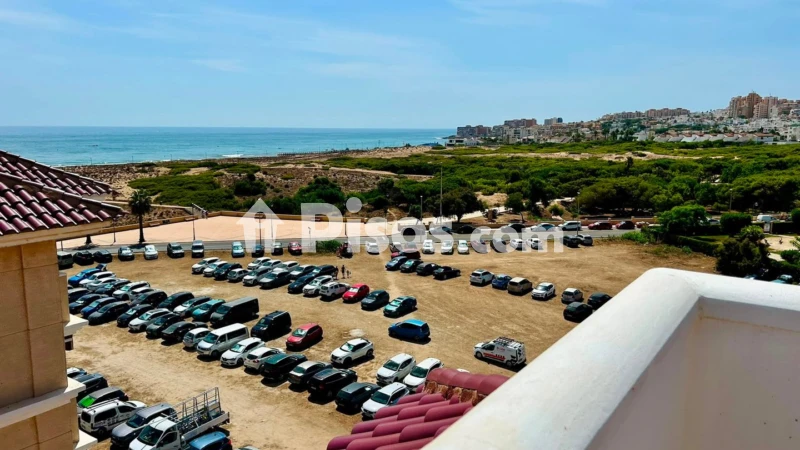 Pis – Torrevieja