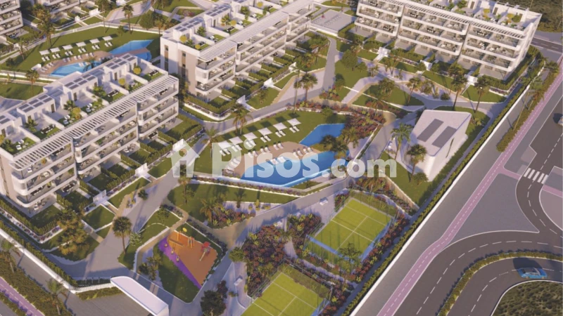 Pis – Torrevieja