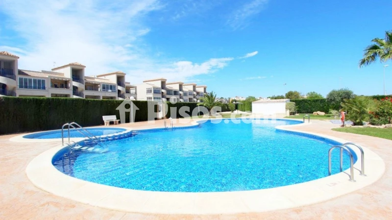 Piso – Orihuela