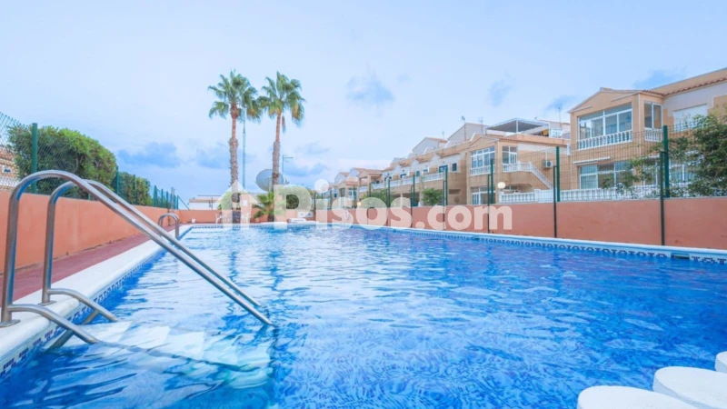 Piso – Orihuela
