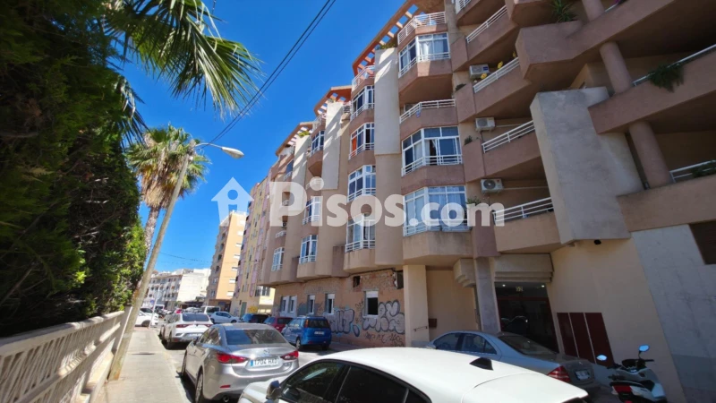 1-soban stan, 55 m²