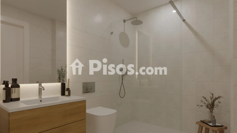 Pis