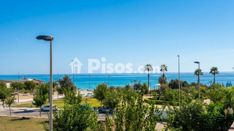 Piso