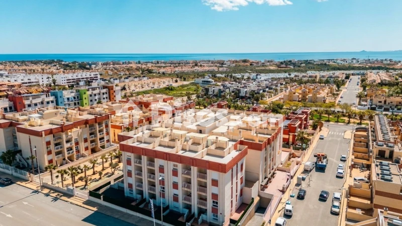 Pis – Orihuela