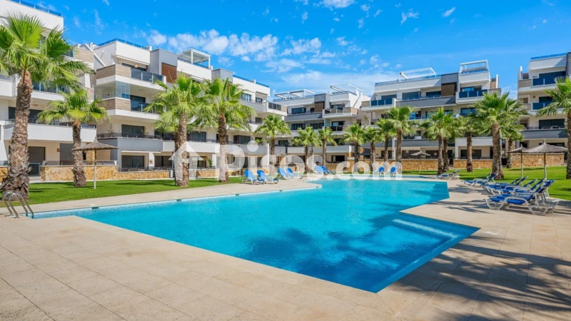 Pis – Orihuela