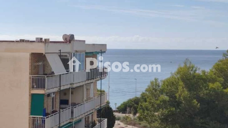 Piso – Orihuela