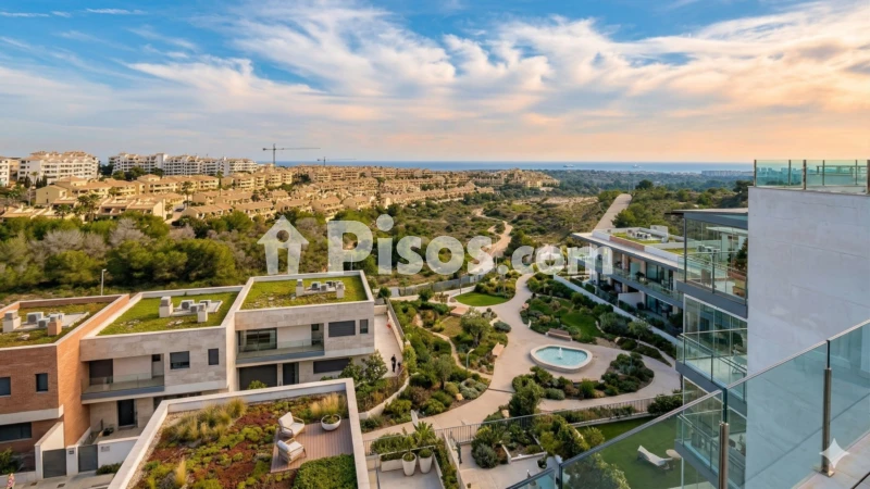 Piso – Orihuela, Villa Martín