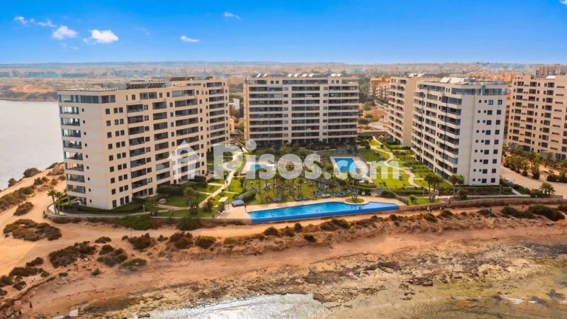 Pis – Torrevieja, San Roque