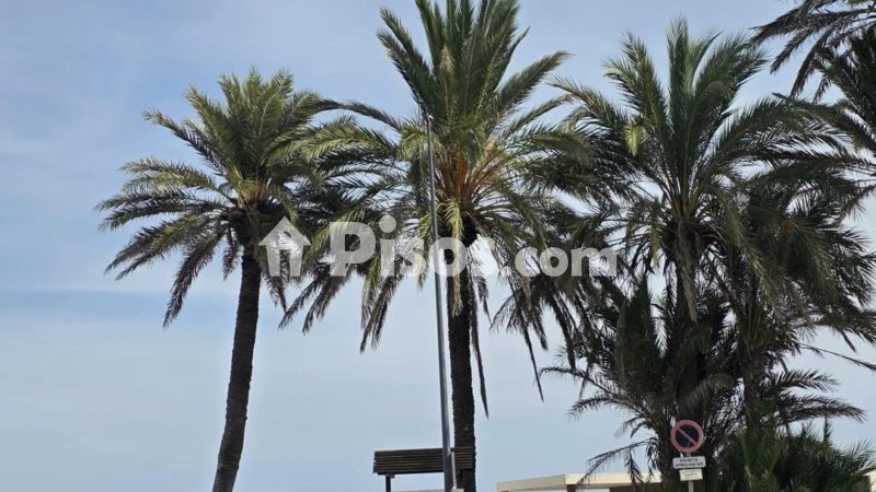 Piso – Orihuela, Urbanización Residencial Montemar, Dehesa de Campoamor