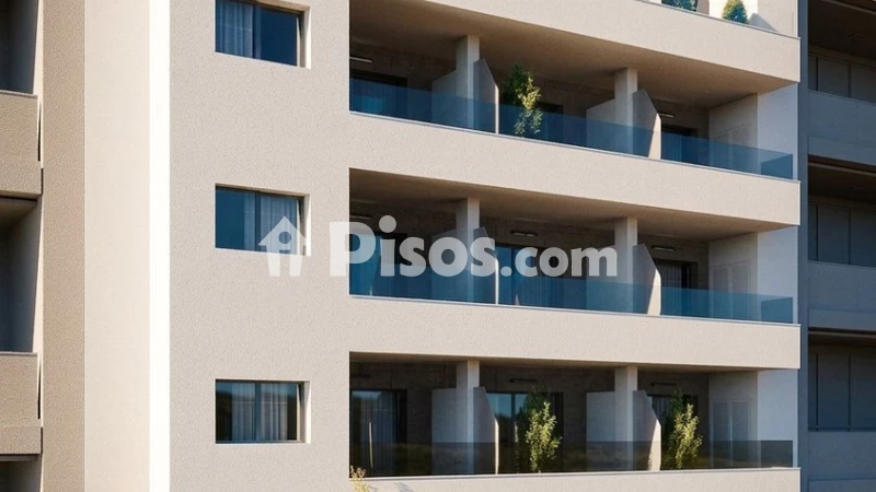 Pis – Torrevieja
