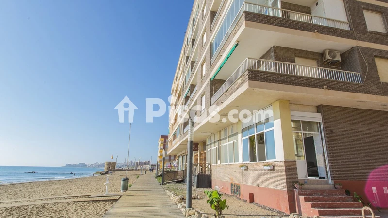 Pis – Torrevieja