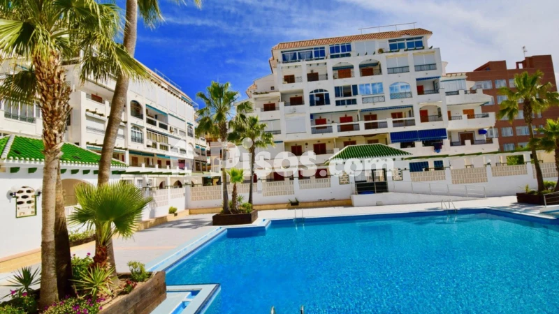 Pis – Torrevieja