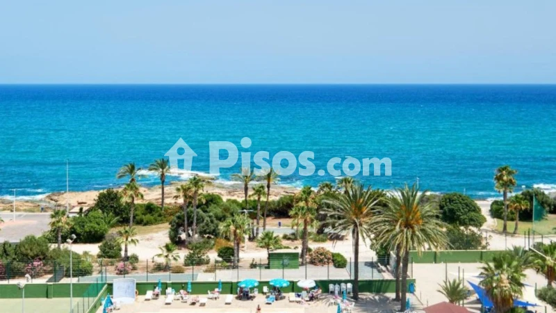 Pis – Torrevieja