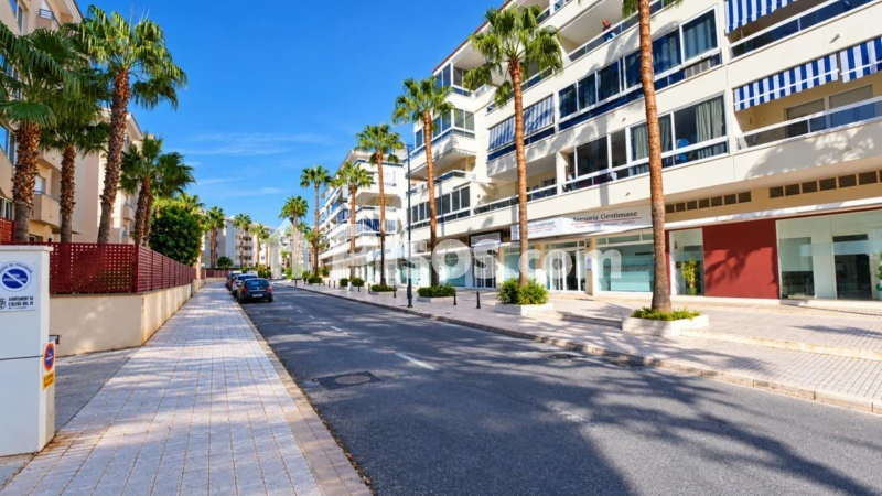Piso – Muro de Alcoy