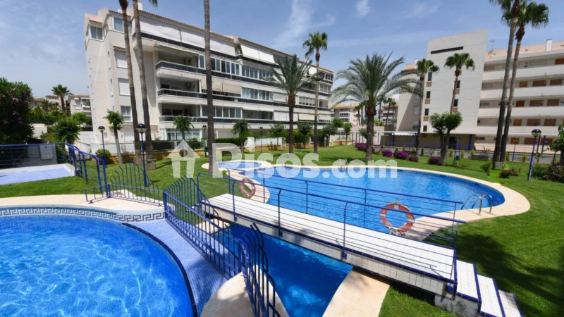 Piso – Muro de Alcoy