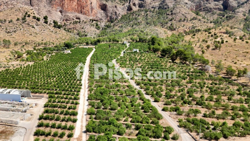 Finca rústica en venta en Orihuela Pedanías
