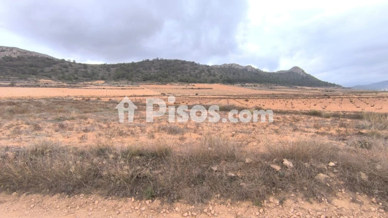 Terreno en venta en El Pinós - Pinoso
