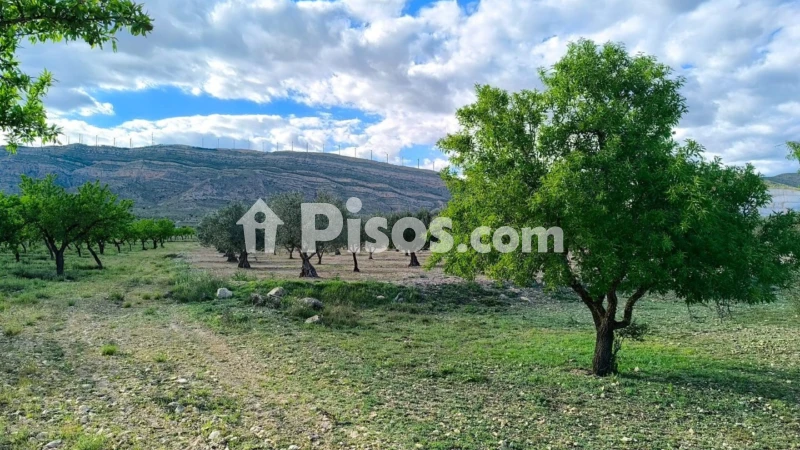 Terreno en venta en Caudete