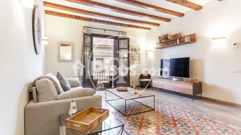 Apartamento en alquiler en Sant Pere-Santa Caterina-La Ribera