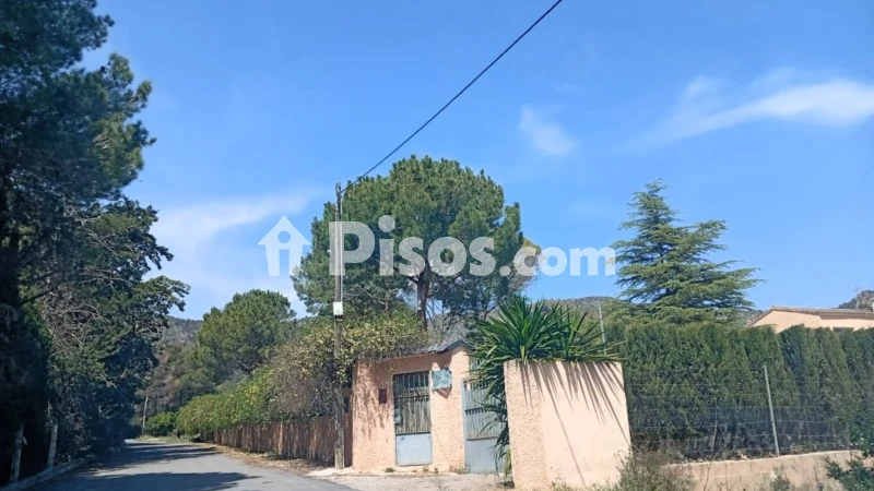 Casa – Salinas, Cecilia Bartolomé (Mujeres Libres), l'Alt Vinalopó / El Alto Vinalopó