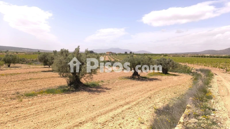 Terreno en venta en El Pinós - Pinoso