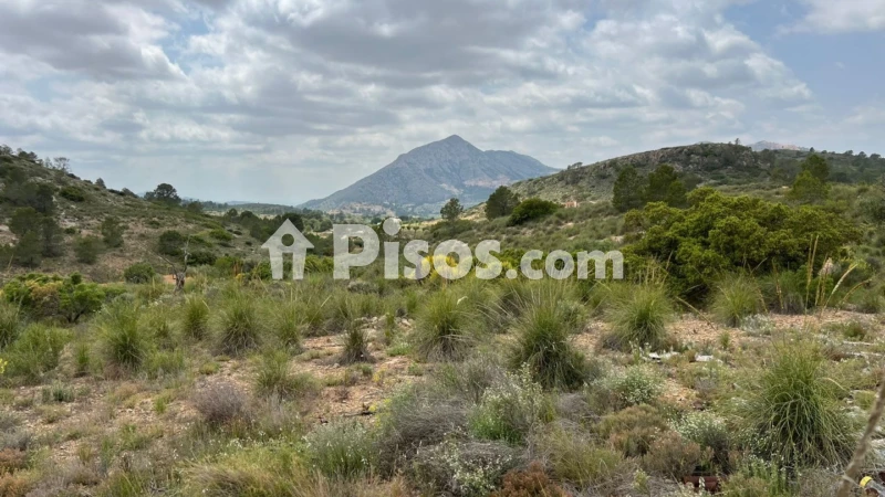 Terreno en venta en El Fondó de Les Neus - Hondón de Las Nieves