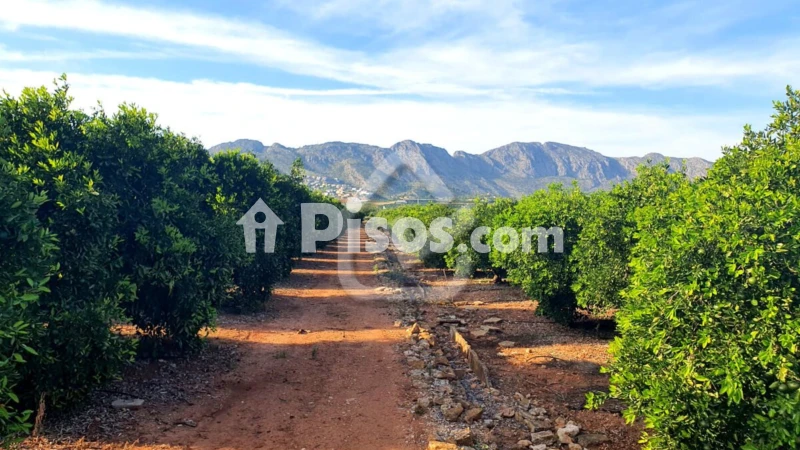 Terreno en venta en Benidoleig