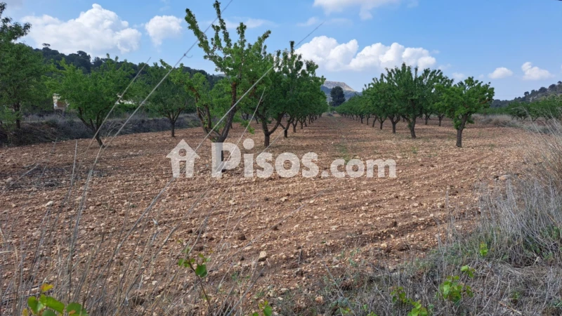 Terreno en venta en El Pinós - Pinoso